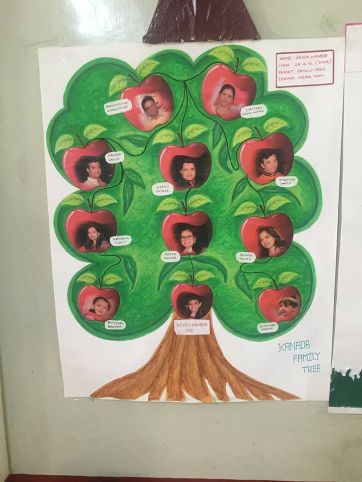 Senior KG Project My  family  tree  ASIS Pre Primary